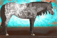 Horse Color:Liver Chestnut Ice 