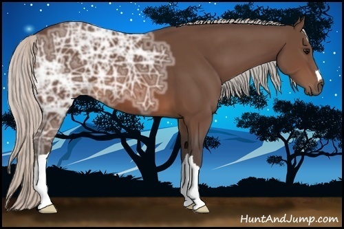 Horse Color:Silver Brown Ice 