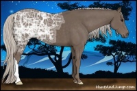 Horse Color:Silver Black Ice 