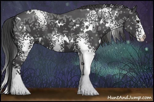 Horse Color:White Spotted Smoky Black Ice