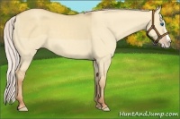 Horse Color:Silver Classic Champagne Dun Splash Frame 