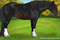 Horse Color:Brown Ice 