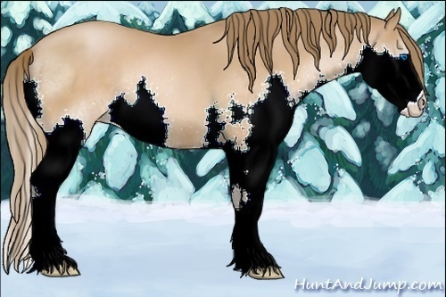 Horse Color:Brown Pearl Splash 