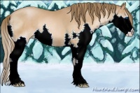 Horse Color:Brown Pearl Splash