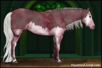 Horse Color:Silver Black Splash 