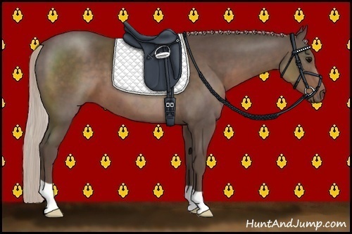 Horse Color:Silver Black 