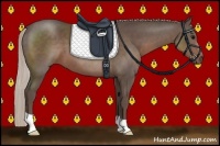 Horse Color:Silver Black 