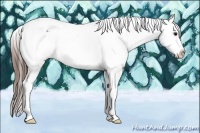 Horse Color:Brown Roan Varnish 