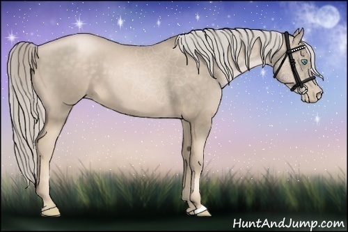 Horse Color:Chocolate Palomino Pearl 