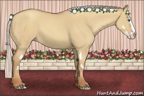 Horse Color:Silver Classic Champagne Dun Splash Frame 