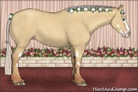 Horse Color:Silver Classic Champagne Dun Splash Frame 