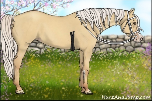 Horse Color:Silver Classic Champagne Dun Splash Frame 