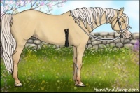 Horse Color:Silver Classic Champagne Dun Splash Frame 