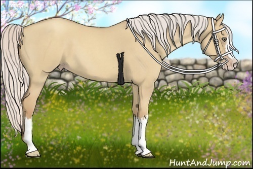 Horse Color:Silver Classic Champagne Roan Dun Splash Frame 