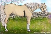 Horse Color:Silver Classic Champagne Roan Dun Splash Frame 