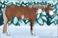 Horse Color:Silver Brown Sabino 