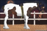 Horse Color:Bay Tobiano 