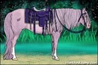 Horse Color:Watercolor Gold Cream Champagne Rabicano