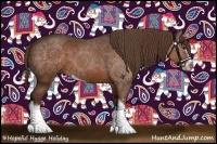 Horse Color:Liver Chestnut Sabino