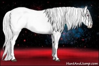 Horse Color:Silver Brown Chinchilla Appaloosa