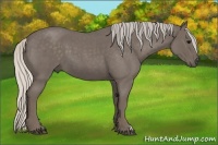 Horse Color:Silver Blue Roan 