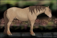 Horse Color:Classic Champagne 
