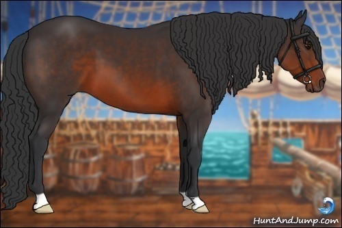 Horse Color:Brown 