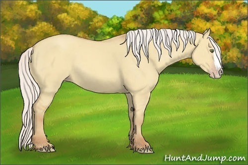 Horse Color:Silver Classic Champagne Dun Splash Frame 