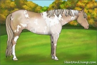 Horse Color:White Spotted Liver Chestnut Pearl 