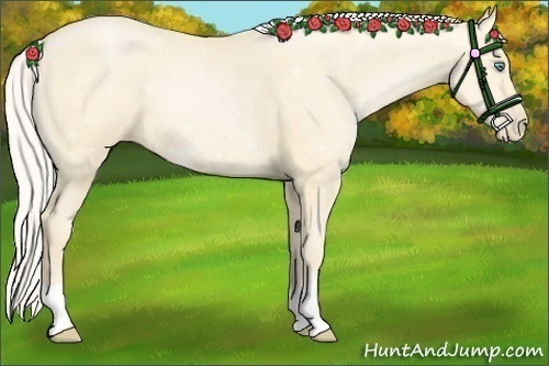 Horse Color:Silver Buckskin Pearl 