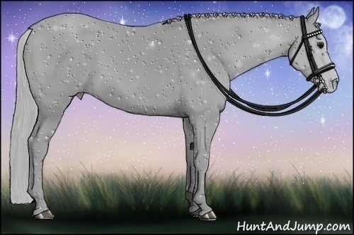 Horse Color:ERROR: UNKNOWN ANOMALY