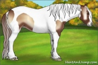 Horse Color:Red Onyx Tobiano 