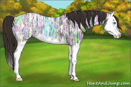 Horse Color:Liver Chestnut Ice Splash 