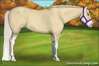 Horse Color:Silver Classic Champagne Dun Splash Frame 