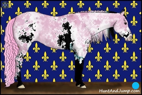 Horse Color:Watercolor White Spotted Bay Dun 