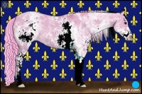 Horse Color:Watercolor White Spotted Bay Dun 