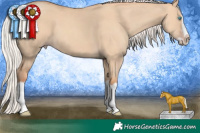 Horse Color:Silver Classic Champagne Dun Splash Frame