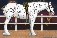 Horse Color:Nacre Chocolate Palomino Ice Sabino Appaloosa Rabicano
