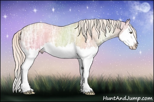 Horse Color:Silver Classic Champagne Ice Dun Splash 