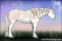 Horse Color:Silver Classic Champagne Ice Dun Splash