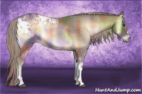 Horse Color:Nacre Chocolate Palomino Ice Onyx 
