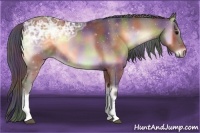 Horse Color:Nacre Buckskin Ice Onyx 