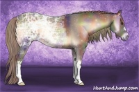 Horse Color:Nacre Liver Red Onyx Ice
