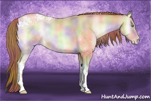 Horse Color:Nacre Buckskin Ice Pearl Onyx 