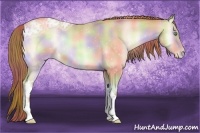 Horse Color:Nacre Buckskin Ice Pearl Onyx 