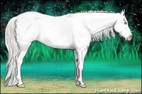 Horse Color:Silver Amber Champagne Ice Appaloosa Rabicano 