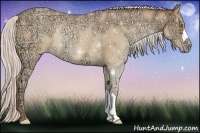 Horse Color:Silver Amber Champagne Ice Rabicano