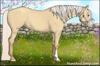 Horse Color:Silver Classic Champagne Dun Splash Frame