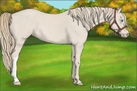 Horse Color:Smoky Creme Roan