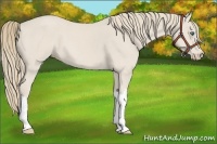 Horse Color:Smoky Creme Roan